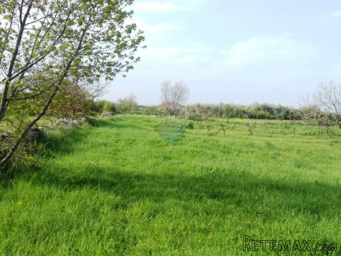 Istra, Vodnjan,San Antonio, građevinsko zemljište - 3