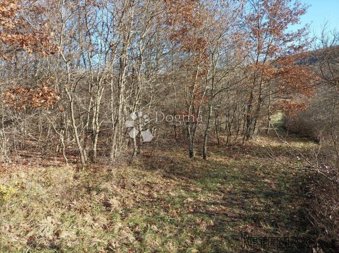 Poljoprivredno zemljište 2020m2 10800e - PRILIKA - 3