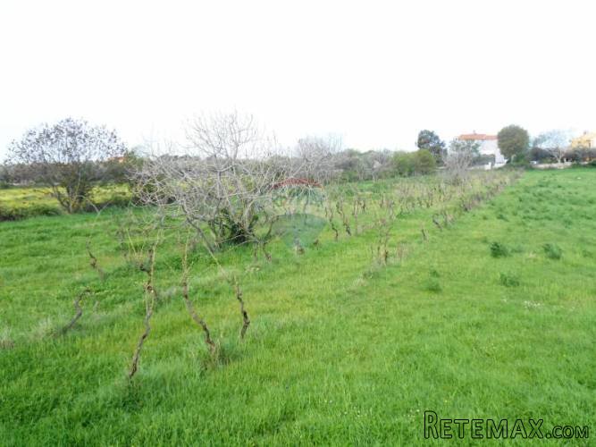 Istra, Vodnjan,San Antonio, građevinsko zemljište - 4