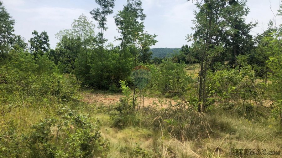 Istra, Grožnjan okolica, lijepa građevinska parcela - 5