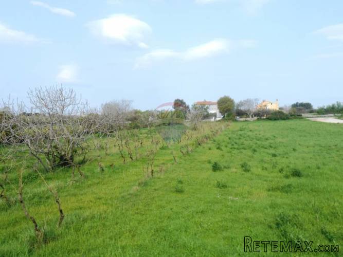 Istra, Vodnjan,San Antonio, građevinsko zemljište - 5