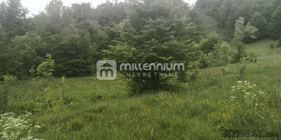 Zlobin, poljoprivredno zemljište od 7.400m2 - 2