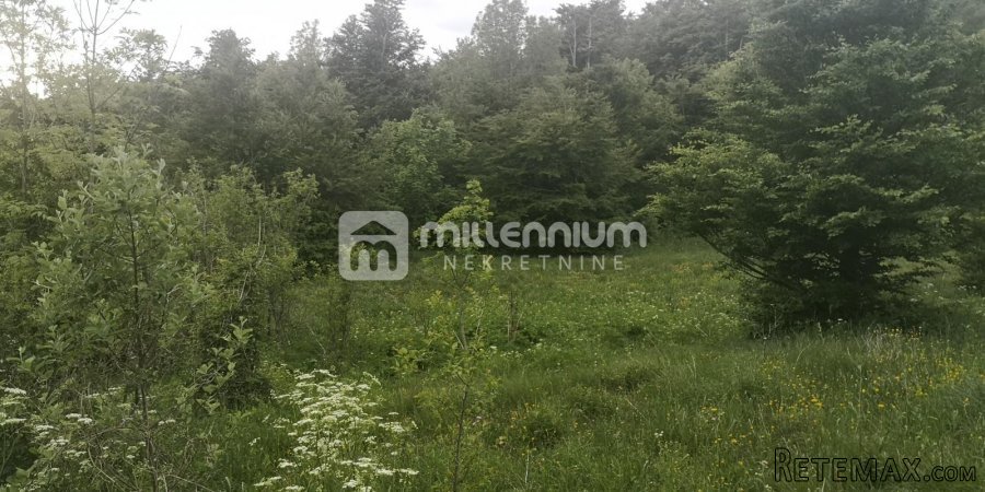 Zlobin, poljoprivredno zemljište od 7.400m2 - 3
