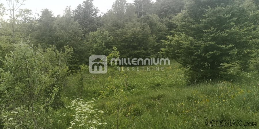 Zlobin, poljoprivredno zemljište od 7.400m2 - 4