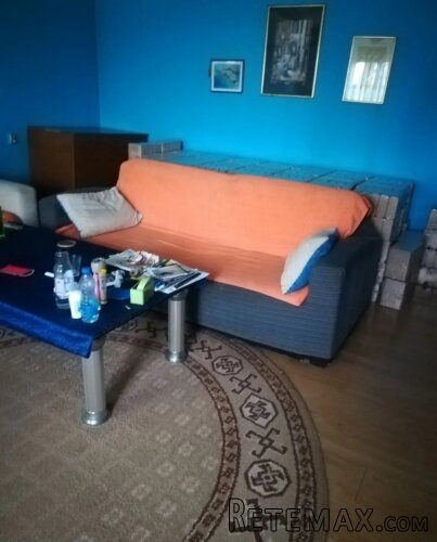 Prodajem kucu u Borci - 5