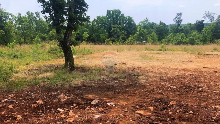 Istra, Grožnjan okolica, lijepa građevinska parcela - 4