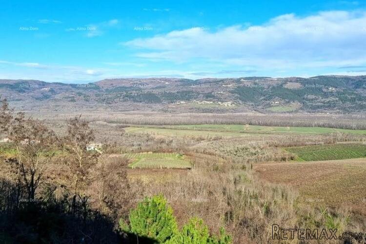 Kuća s predivnim pogledom na Motovun - 4