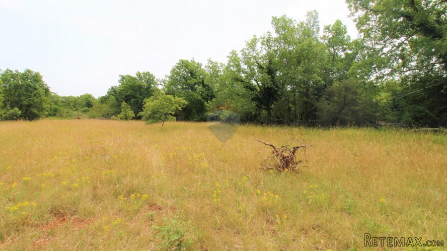 Istra, Grožnjan okolica, lijepa građevinska parcela - 5