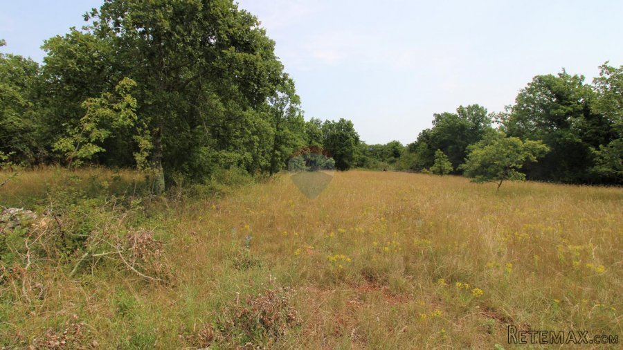 Istra, Grožnjan okolica, lijepa građevinska parcela - 6