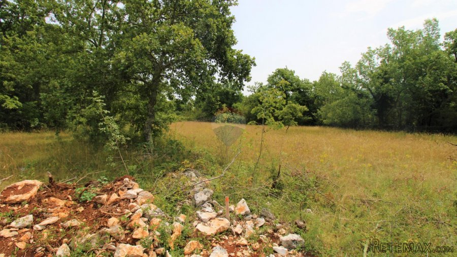 Istra, Grožnjan okolica, lijepa građevinska parcela - 9