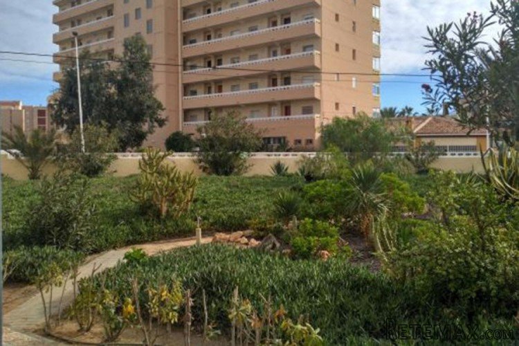 Los apartamentos se ubican en un complejo residencial en..