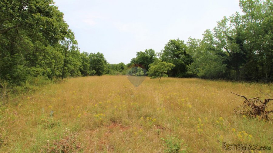 Istra, Grožnjan okolica, lijepa građevinska parcela - 3
