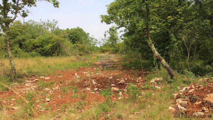 Istra, Grožnjan okolica, lijepa građevinska parcela - 8