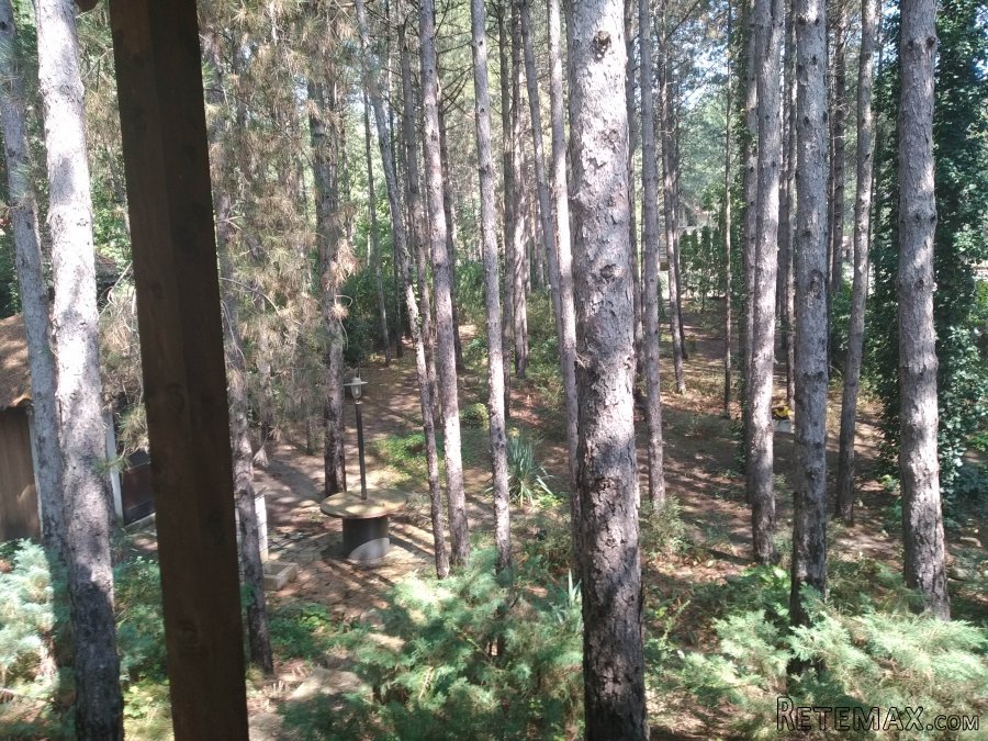 Kuća za odmor u srpskom stilu u borovoj šumi, 200m od Dunava - 2