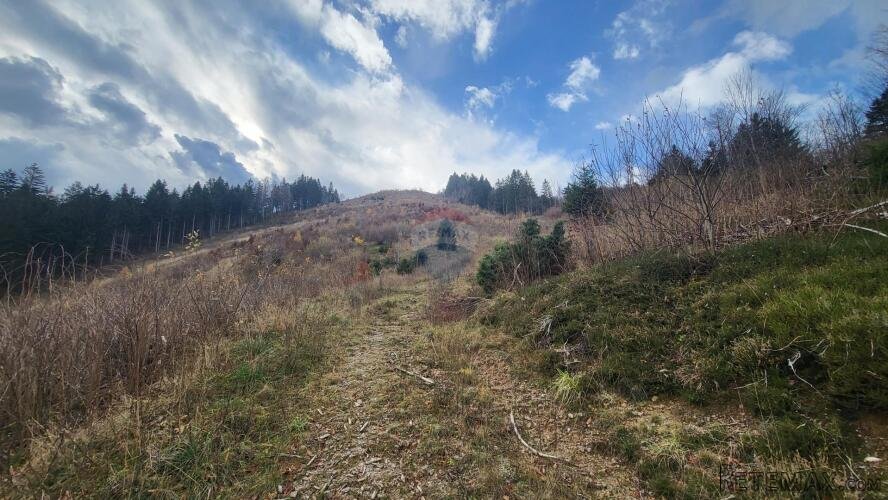 Mrkopalj, Sunger - Zemljište 6000 m2 - 2