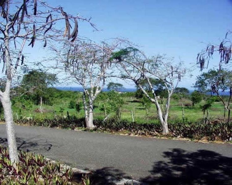 Beautful Lot For Sale In Cabarete C5 - 2