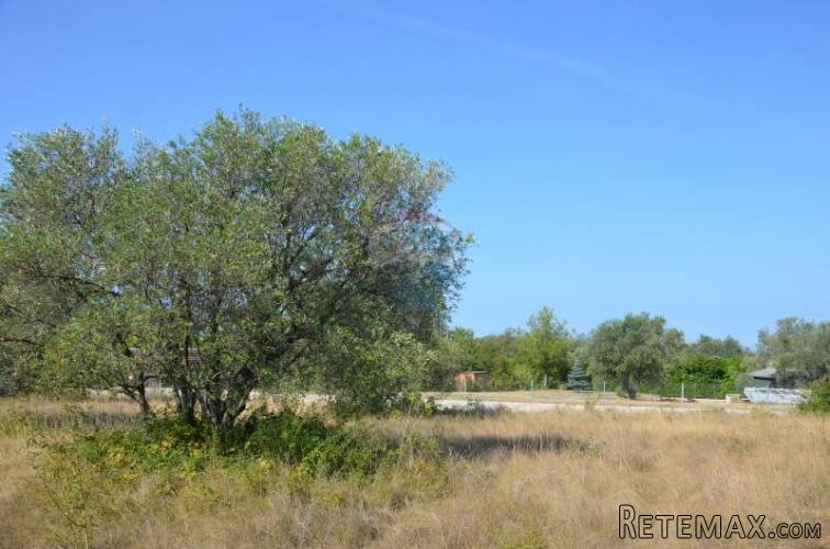 Buje, okolica, građevinsko zemljište 3436 m2 - 4
