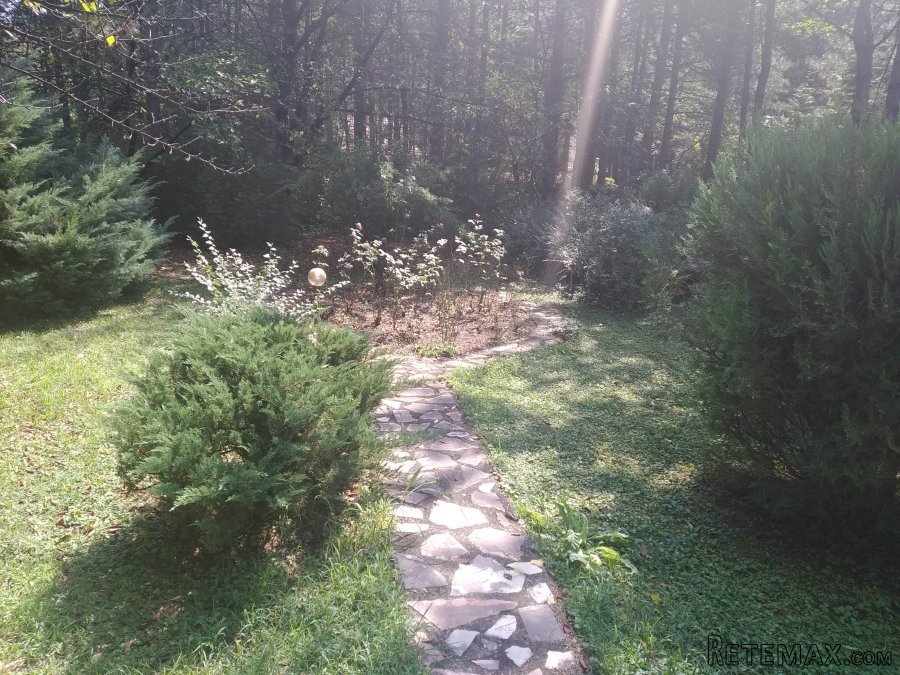 Kuća za odmor u srpskom stilu u borovoj šumi, 200m od Dunava - 3