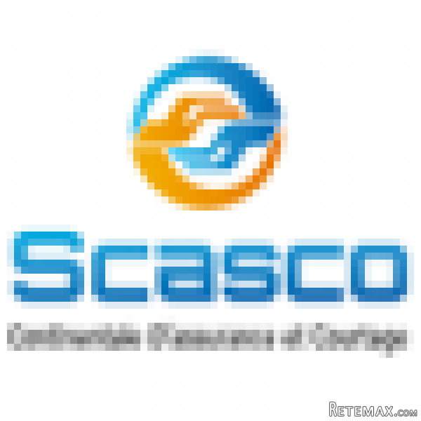 Commercial Expérimenté en Assurance