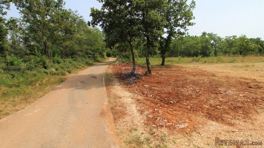 Istra, Grožnjan okolica, lijepa građevinska parcela - 5