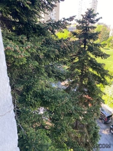 Prodajem cetvorosoban stan kod Gradske bolnice - 17