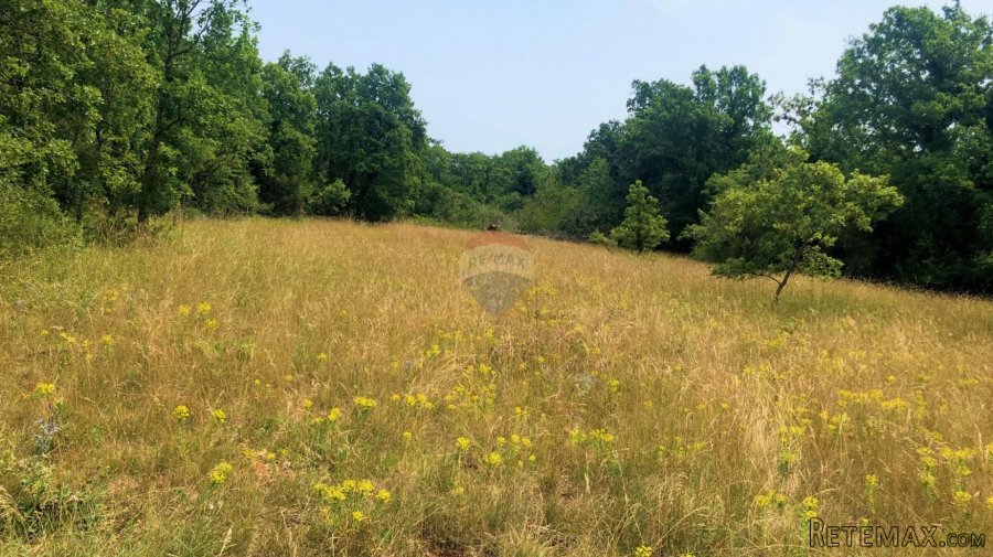 Istra, Grožnjan okolica, lijepa građevinska parcela - 8
