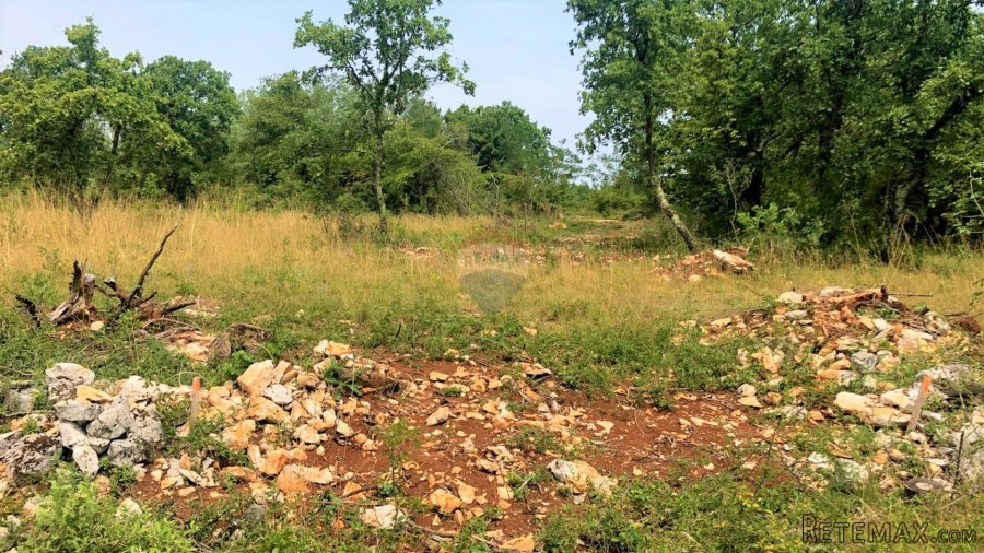 Istra, Grožnjan okolica, lijepa građevinska parcela - 9