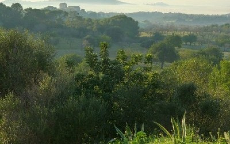 imperial properties santta ponsa - Plot..