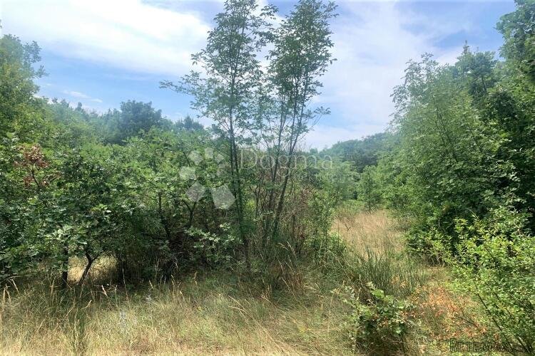 DIVŠIĆI – lijepa parcela 4 km od Vodnjana - 2