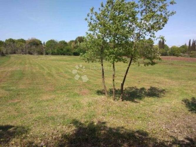 Poljoprivredno zemljište s maslinikom i vinogradom u okolici
