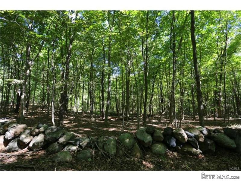 Land For Sale: Westchester Avenue Pound.. - 2