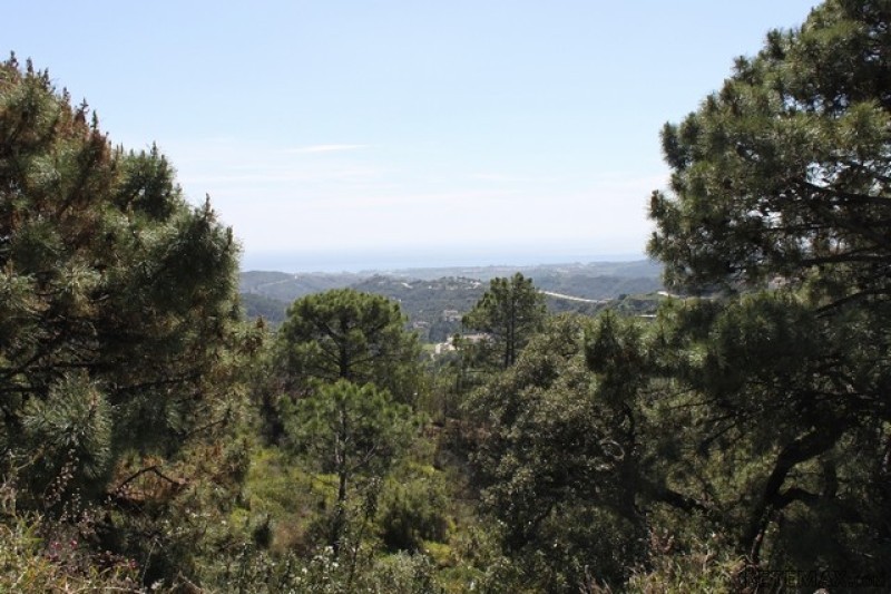 751031 - Plot For sale in Golf.. - 2