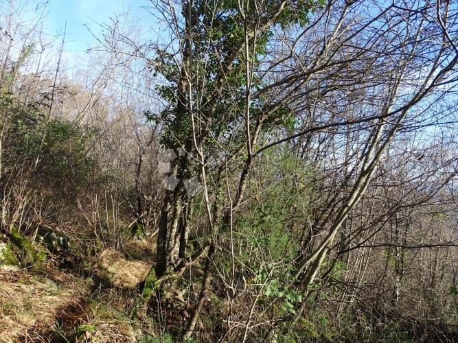 Bregi - negrađevinski teren s pogledom - 3