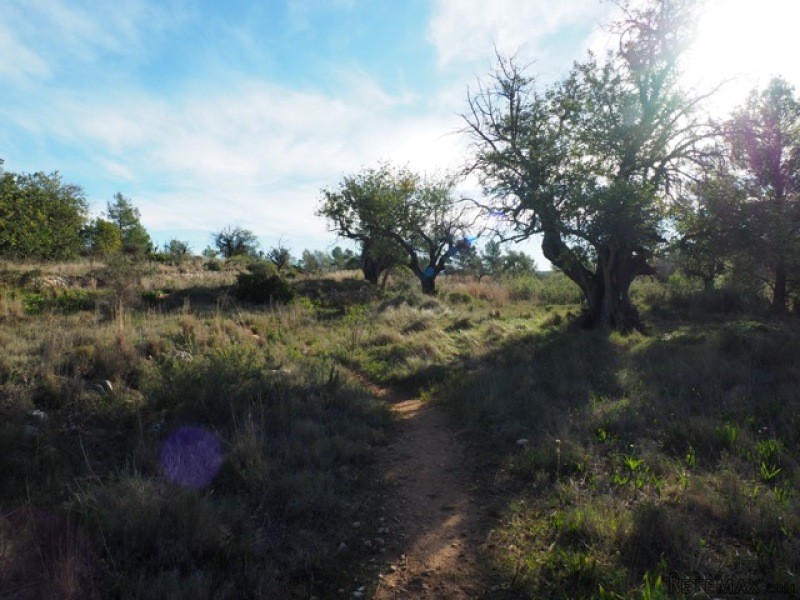 - Land - Alicante - For Sale - 2