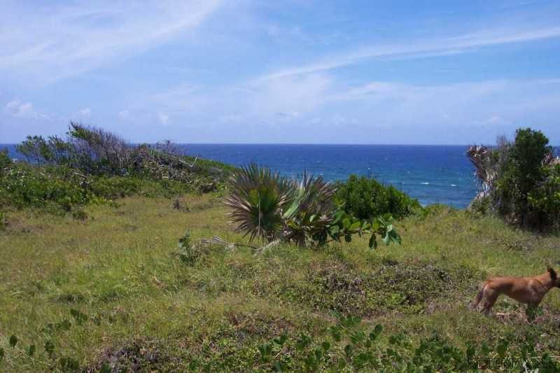 Various Oceanfront Lots In Cabrera For.. - 2