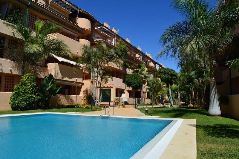 Apartment near Alicate Beach
