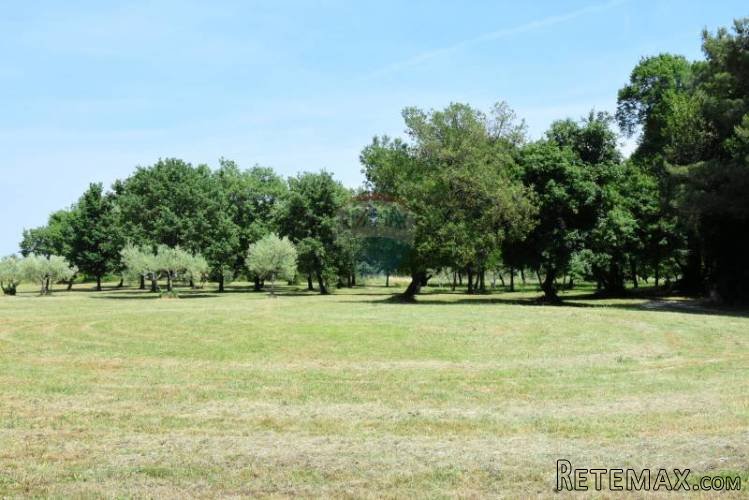 Vabriga,zemljište na osami,pogled more,500m od... - 4