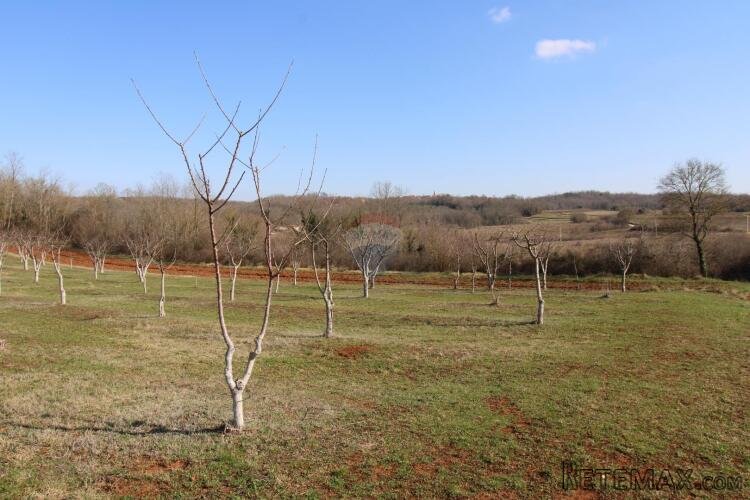 Istra, Vižinada- Građevinsko i poljoprivredno zemljište - 2