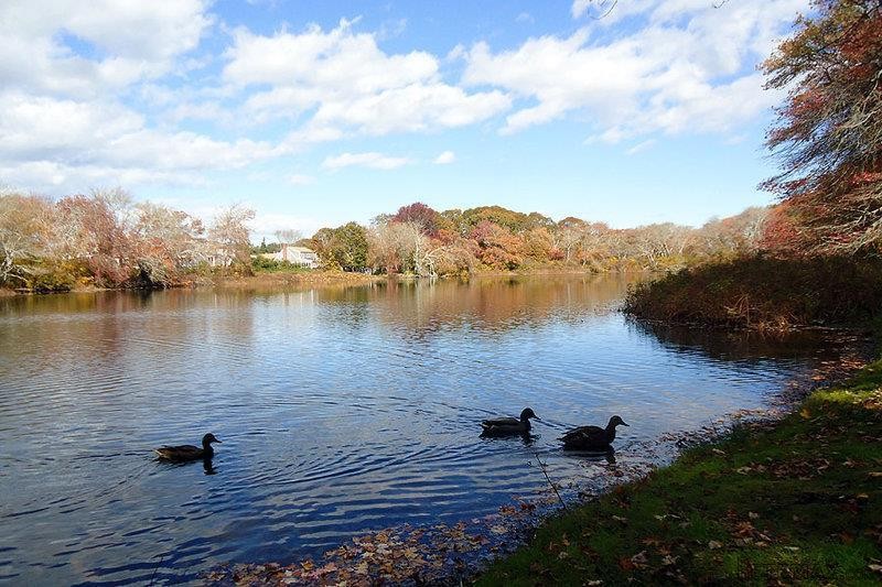 Land For Sale: 45 Lake Avenue, Hyannis..
