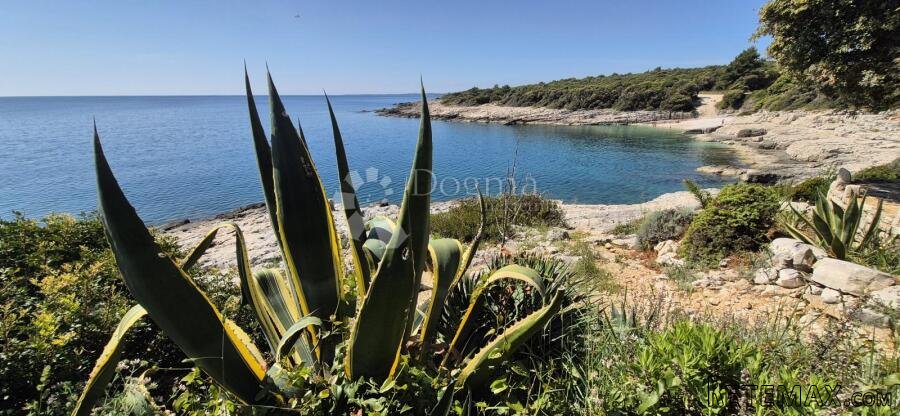 Poljoprivredno zemljište s pogledom na more - 250 m od plaže