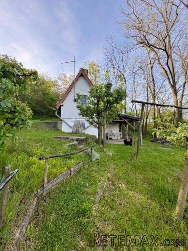 Oaza mira i privatnosti – vikendica s vinogradom i 3.797 m²