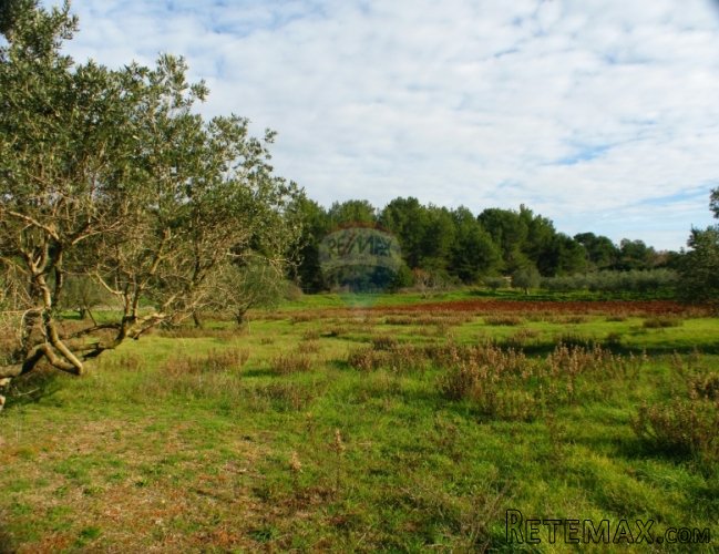 PULA,VELI VRH KOMBINACIJA GRAĐEVINSKOG 1751 M2 I... - 5