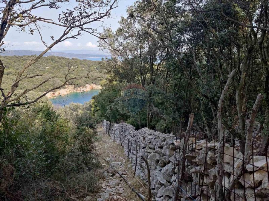 OTOK CRES - NEGRAĐEVINSKO ZEMLJIŠTE UZ MORE - 5