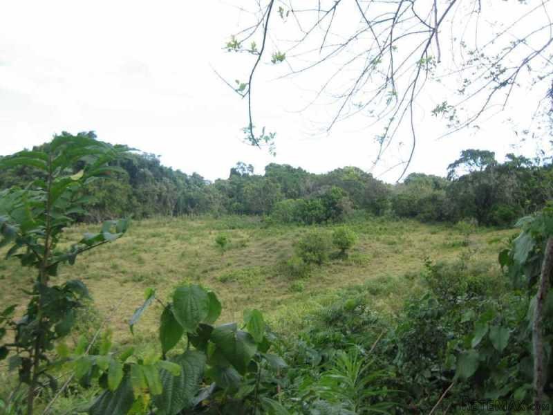 Ideal Cattle Farm For Sale On The Hills.. - 2
