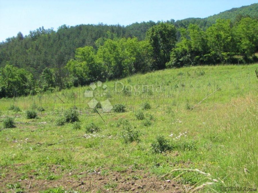 ODLIČAN PROJEKT VILE S BAZENOM I TENISKIM TERENOM - 8