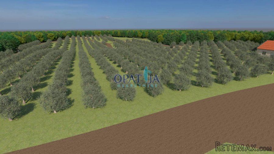 Istra, Bale zemljište 12200 m2 - 2