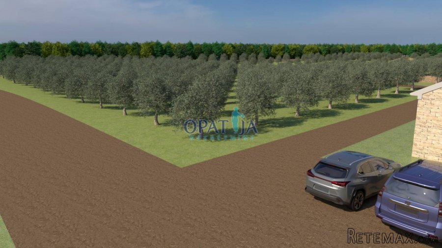 Istra, Bale zemljište 12200 m2 - 3