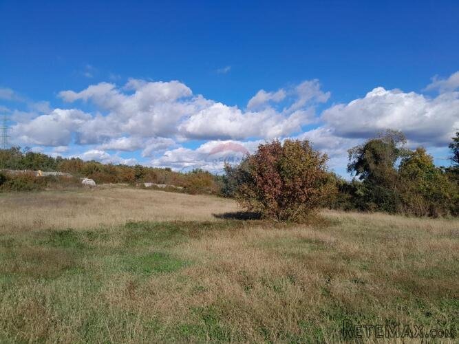 Istra,Filipana, građevinsko zemljište - 3