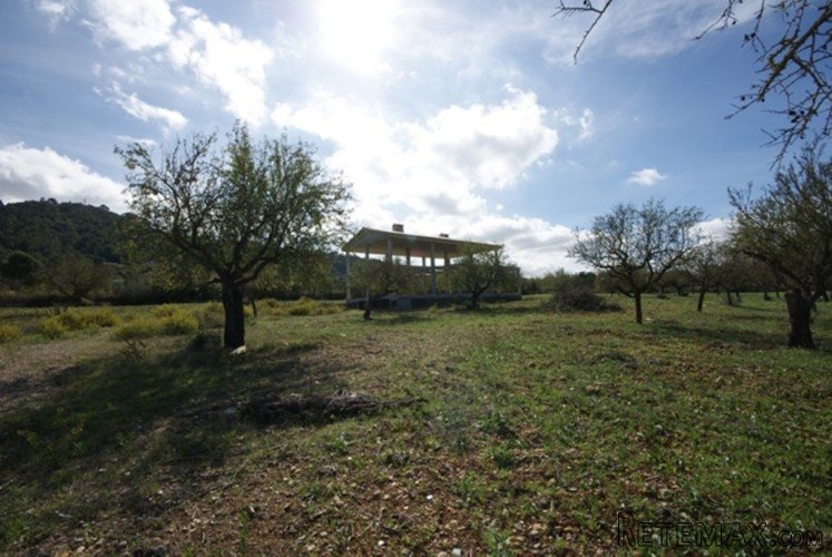 Large rustic plot (14,000 m2) in Inca with majestic views.. - 3