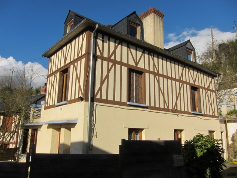 Superb Character House